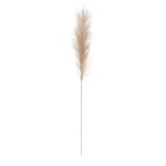 48"H Polyester Pampas Grass Branch - Pages & Parcels