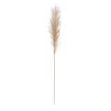 48"H Polyester Pampas Grass Branch - Pages & Parcels