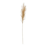48"H Polyester Pampas Grass Branch - Pages & Parcels
