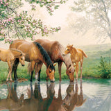Horse Family (Family) 350 Piece Cobble Hill Puzzle