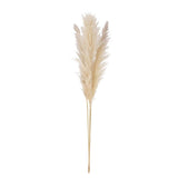 67 inch tall bunch of dried natural pampas grass