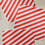 Peppermint Lane Dishcloth Set - Holiday 2026