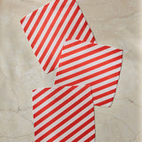 Peppermint Lane Dishcloth Set - Holiday 2026