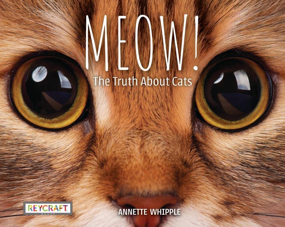 Meow! The Truth About Cats cover image