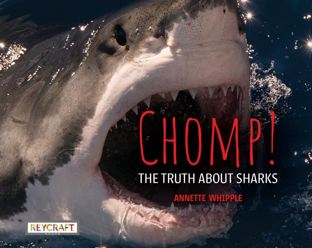 Chomp! Truth About Sharks (The Truth About) cover image
