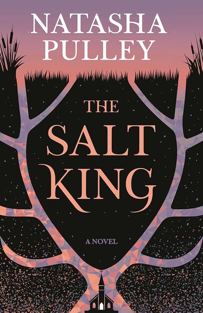 The Salt King: A Novel cover image