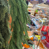 Holiday Garland