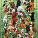 Collage of various dogs on a green background