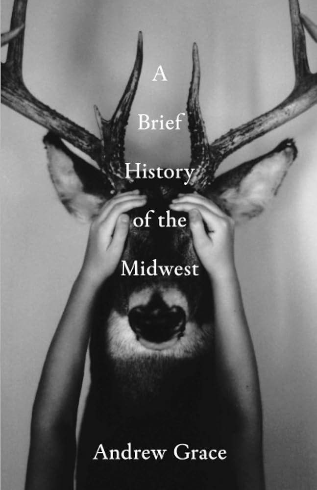 A Brief History of the Midwest cover image
