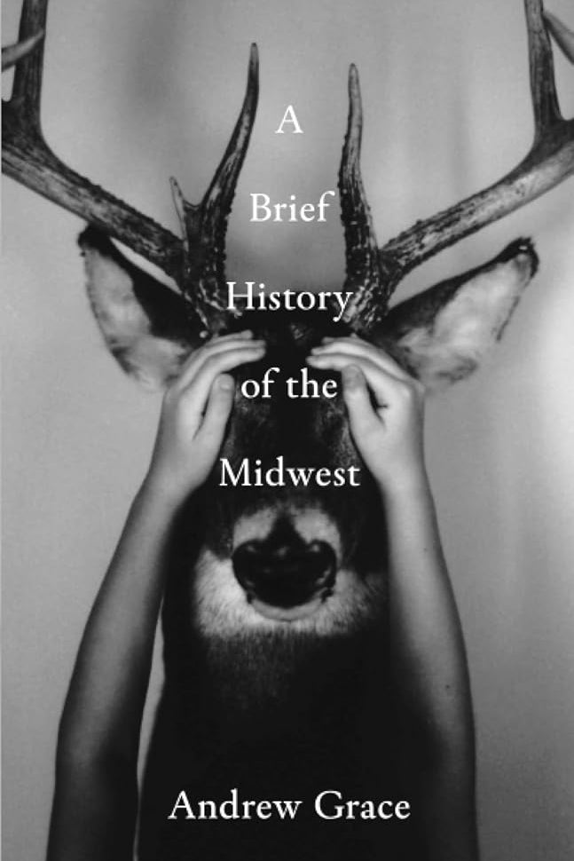 A Brief History of the Midwest cover image