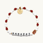 Badgers University of Wisconsin - Pages & Parcels