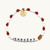 Badgers University of Wisconsin - Pages & Parcels