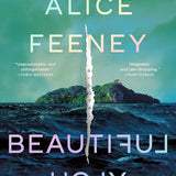 Beautiful Ugly: A Novel cover image