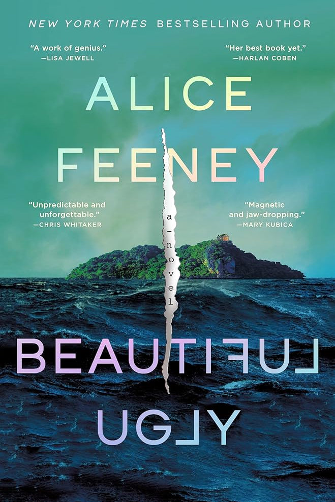 Beautiful Ugly: A Novel cover image