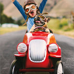 Birthday Cards (Avanti) - Pages & Parcels