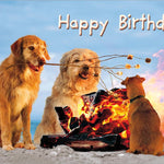 Birthday Cards (Avanti) - Pages & Parcels