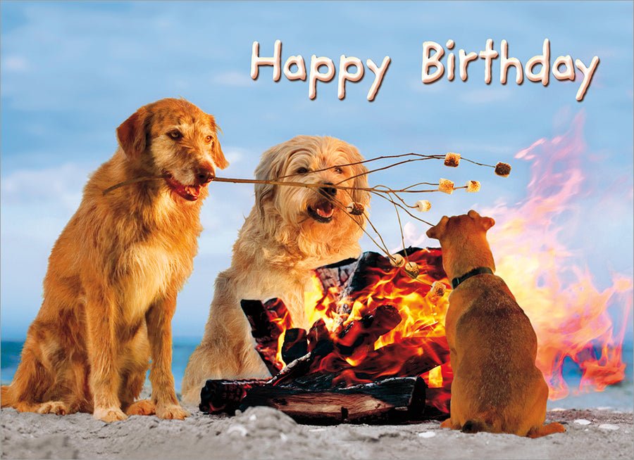 Birthday Cards (Avanti) - Pages & Parcels