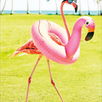 Birthday Cards (Avanti) - Pages & Parcels