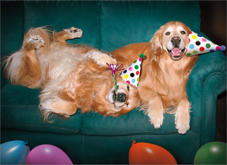 Birthday Cards (Avanti) - Pages & Parcels