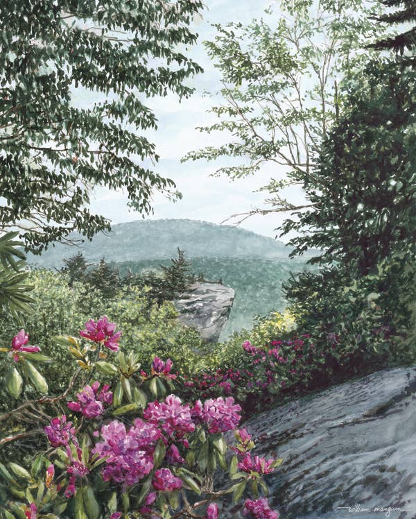 Jigsaw puzzle box for Blue Ridge Majesty, featuring a mountain view from Grandfather Mountain