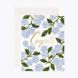 Boxed Set of Congrats Cards - Pages & Parcels