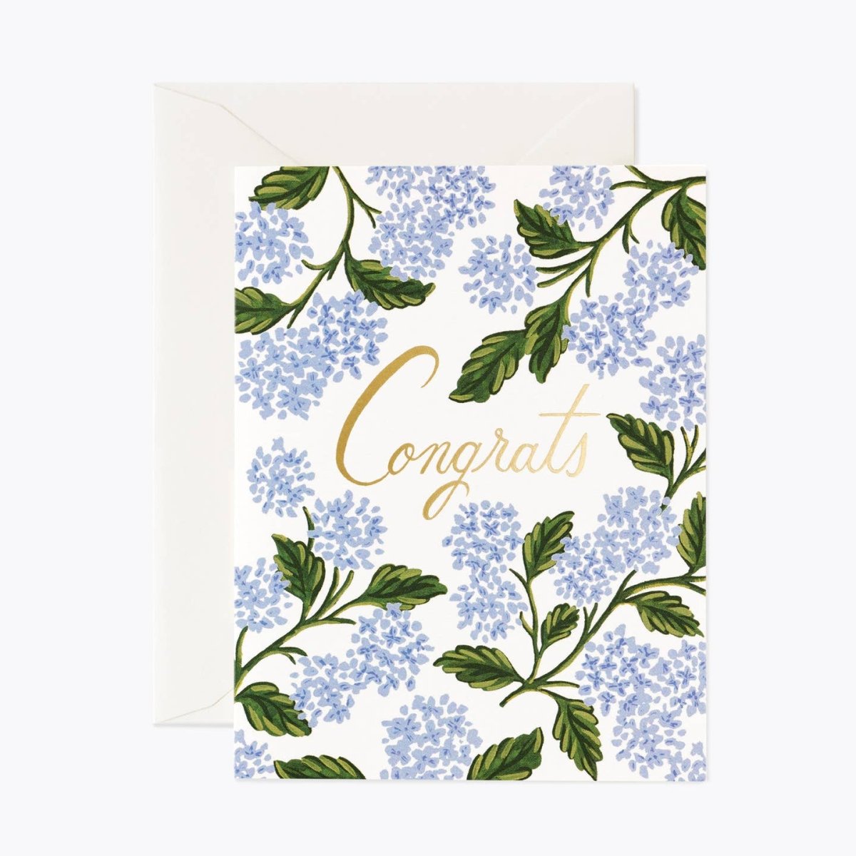Boxed Set of Congrats Cards - Pages & Parcels