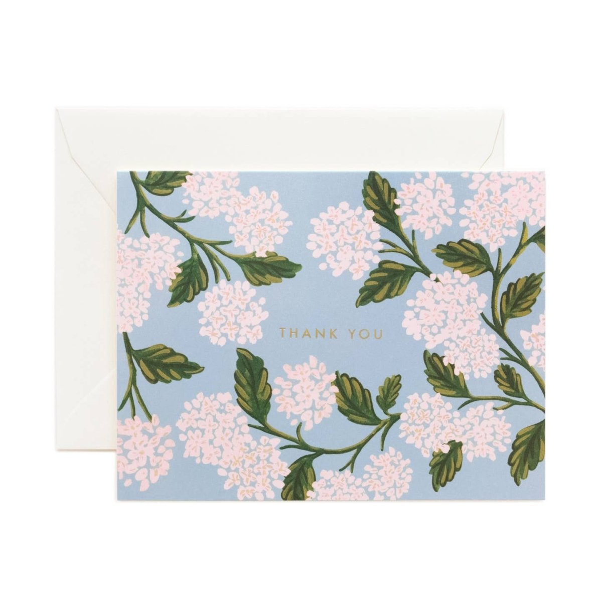 Boxed Set of Thank You Cards - Pages & Parcels