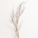 Branch - Twiggy Birch - Pages & Parcels