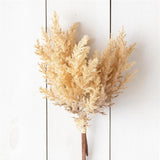 Bunch - Beige Plumes - Pages & Parcels