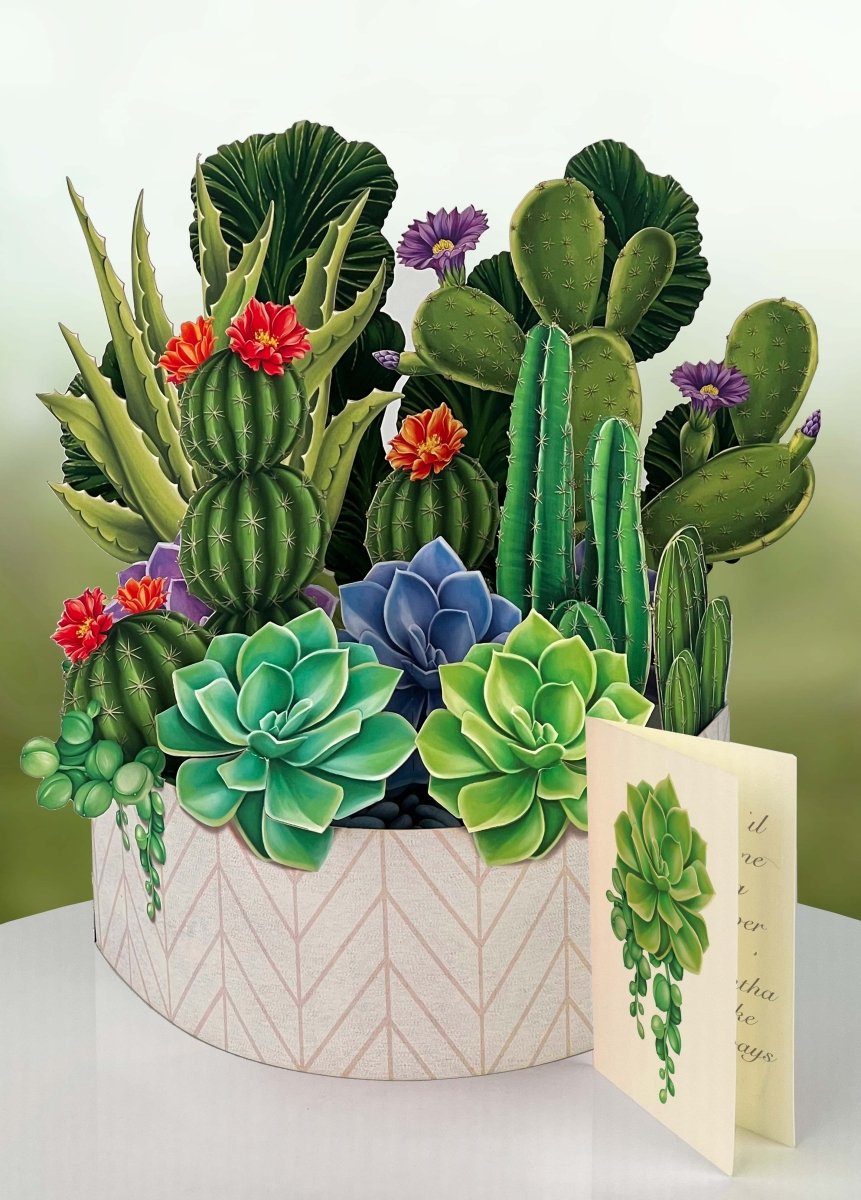 Cactus Garden (8 Pop - up Greeting Cards) - Pages & Parcels