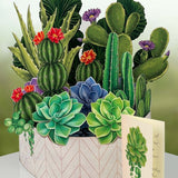 Cactus Garden (8 Pop - up Greeting Cards) - Pages & Parcels