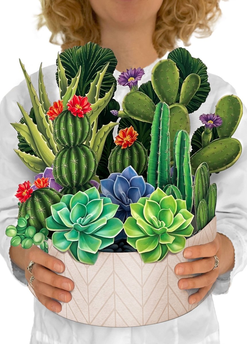 Cactus Garden (8 Pop - up Greeting Cards) - Pages & Parcels