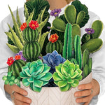 Cactus Garden (8 Pop - up Greeting Cards) - Pages & Parcels