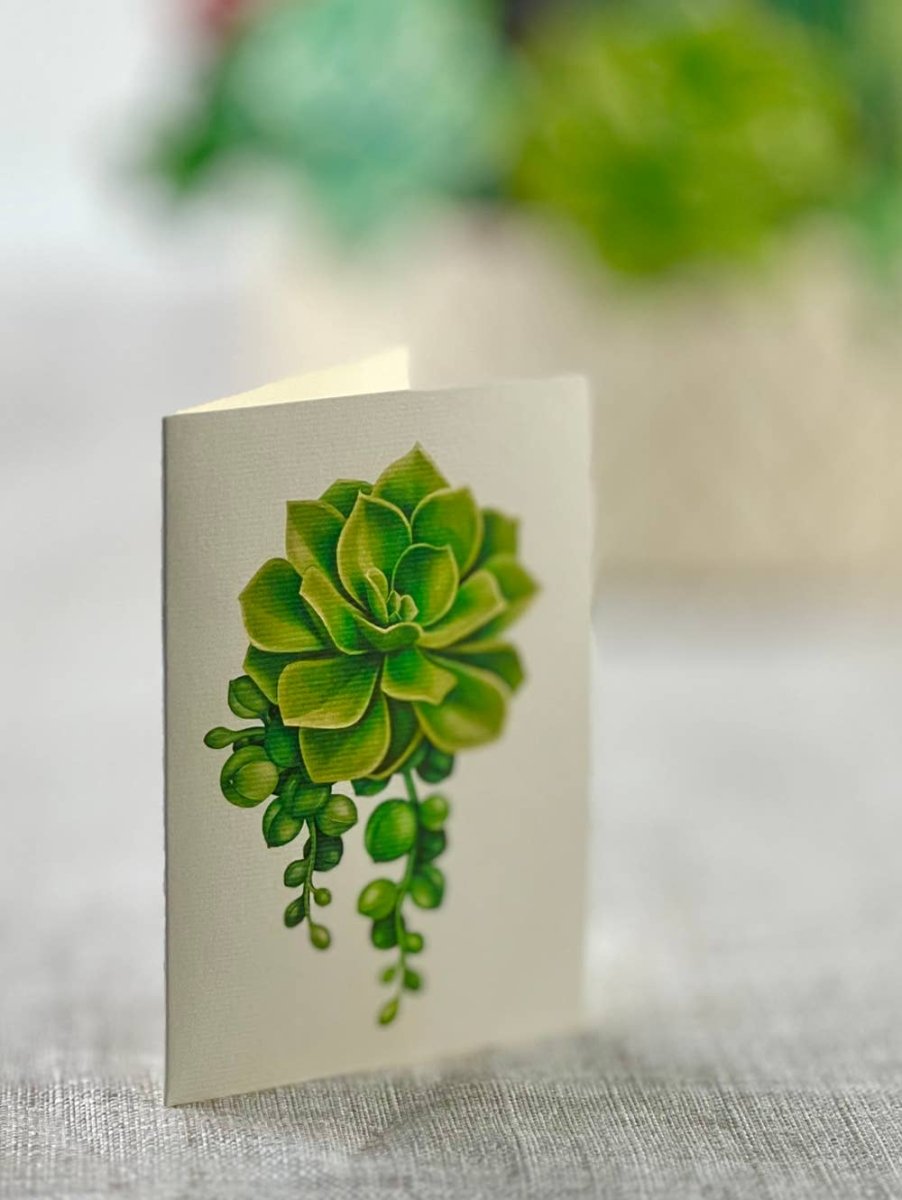 Cactus Garden (8 Pop - up Greeting Cards) - Pages & Parcels