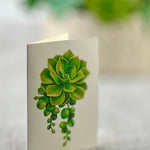 Cactus Garden (8 Pop - up Greeting Cards) - Pages & Parcels
