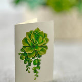 Cactus Garden (8 Pop - up Greeting Cards) - Pages & Parcels