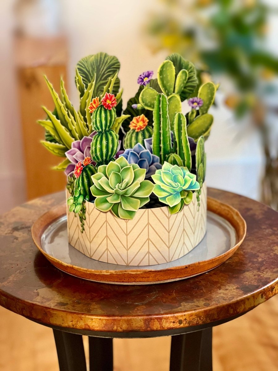 Cactus Garden (8 Pop - up Greeting Cards) - Pages & Parcels