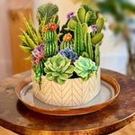 Cactus Garden (8 Pop - up Greeting Cards) - Pages & Parcels