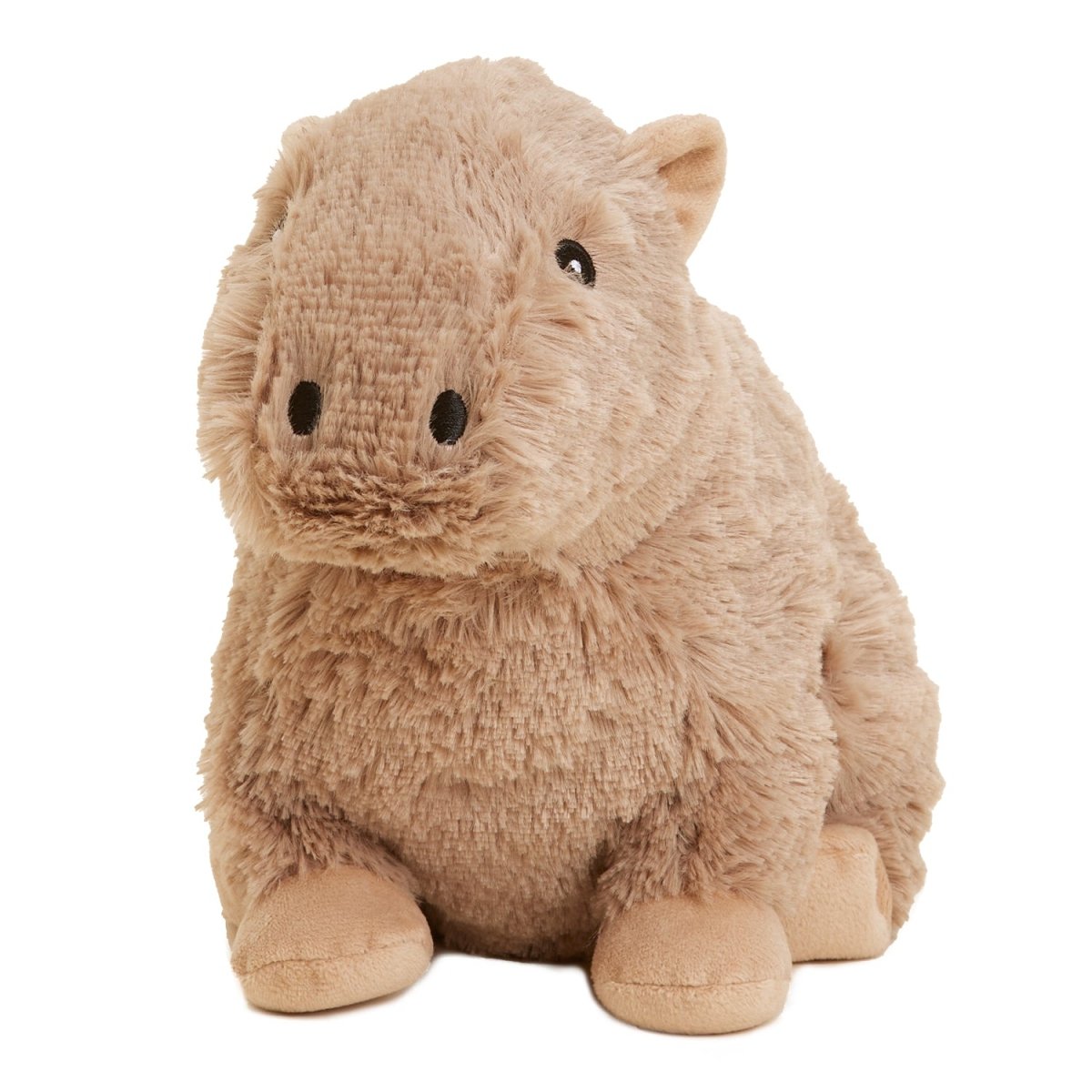 Capybara | Warmies® - Pages & Parcels
