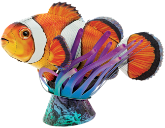 Clownfish steel model kit