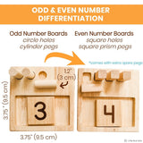 Counting Pegs Math Toy Set & Ten Frame Addition Flashcards - Pages & Parcels