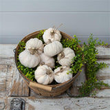 Creamy Soft Fabric Pumpkins - Pages & Parcels