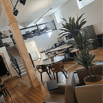 Modern interior with wooden floors, stairs, and a plant in a room.