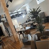 Modern interior with wooden floors, stairs, and a plant in a room.