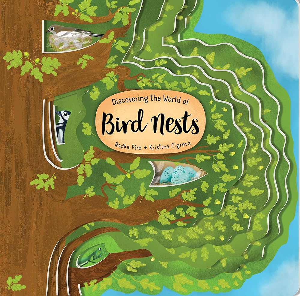 Discovering the World of Bird Nests (Happy Fox Books) Unique Board Book for Kids Ages 3-6 to Learn About Nests in an Oak Tree - Thick Tree-Shaped Pages, Fun Facts, and Vocabulary Words (Peek Inside) cover image