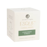 Esque® Candle Insert - Pages & Parcels
