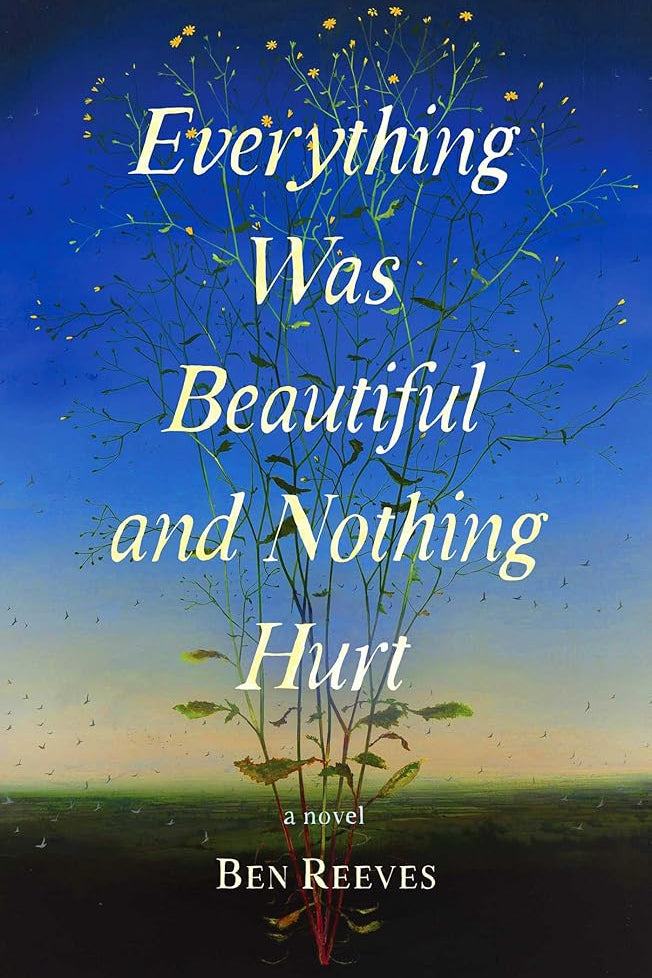 Everything Was Beautiful and Nothing Hurt: A Novel cover image