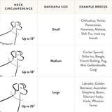 Football Knit Dog Bandana - Pages & Parcels