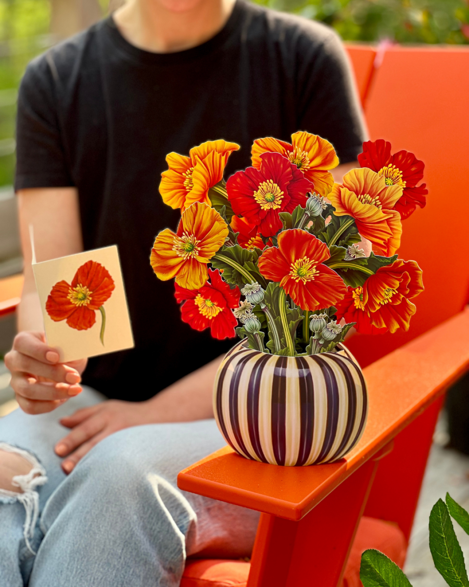 French Poppies (8 Pop - up Greeting Cards) - Pages & Parcels