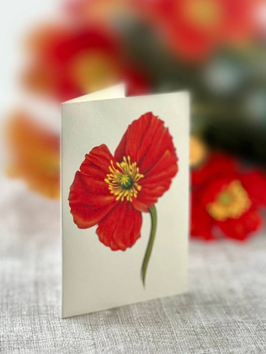 French Poppies (8 Pop - up Greeting Cards) - Pages & Parcels